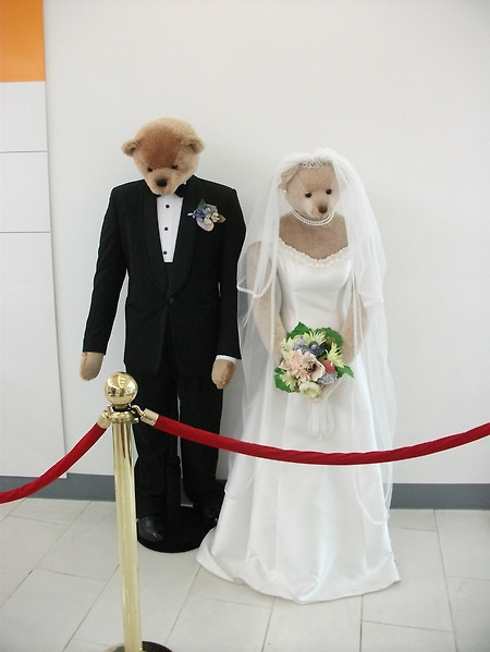 테디배어박물관 1 of 3