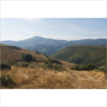 camino de santiago -91-