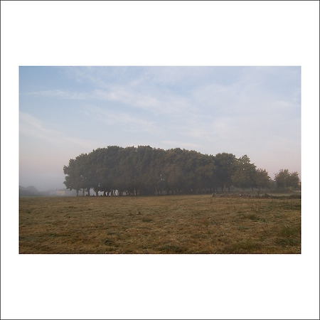 camino de santiago -121-