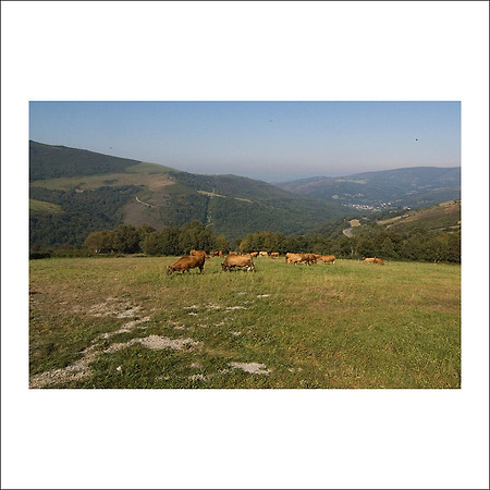 camino de santiago -103-