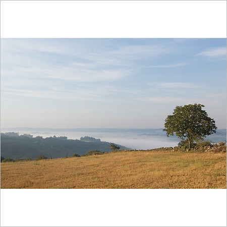 camino de santiago -123-