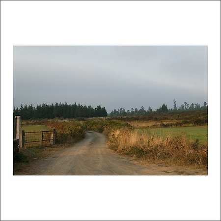 camino de santiago -138-