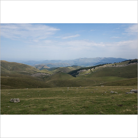 camino de santiago -6-