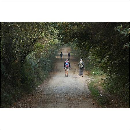 camino de santiago -148-