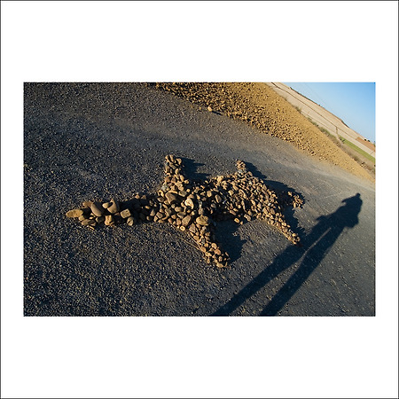 camino de santiago -54-