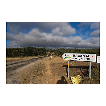 camino de santiago -80-