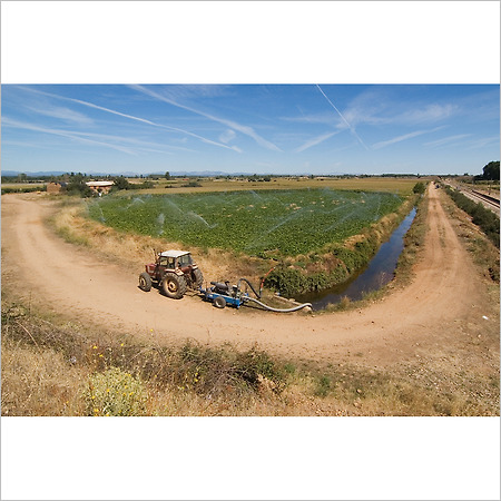 camino de santiago -70-