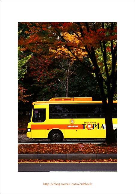 [Fuji Velvia50][OM-1]노란버스