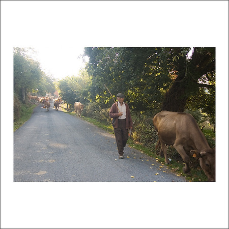 camino de santiago -124-