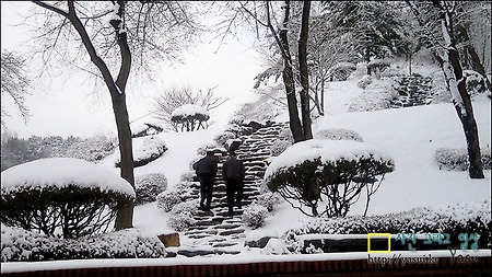 3월의 폭설.. 회사 동산에서 멋진 설경을 보다..(핸드폰 직촬)