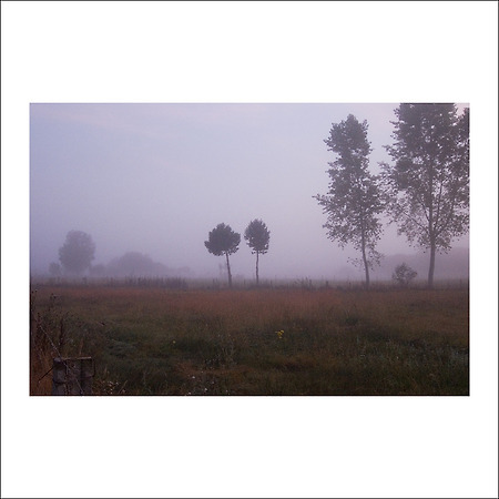 camino de santiago -118-