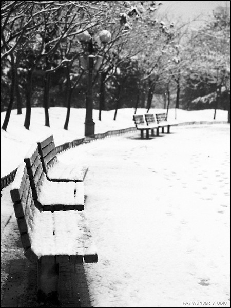 [Kodak Max400][Contax N1]지난 겨울 : 눈 온 날