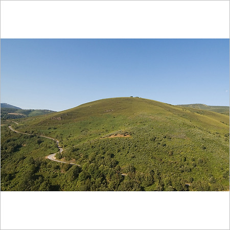 camino de santiago -90-