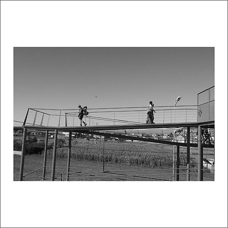 camino de santiago -78-