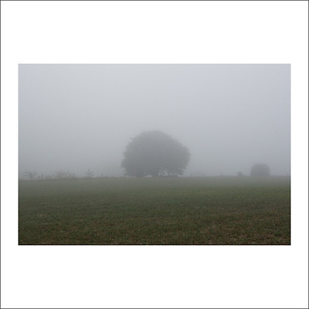 camino de santiago -108-