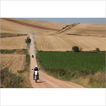 camino de santiago -30-