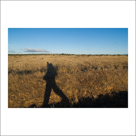 camino de santiago -71-