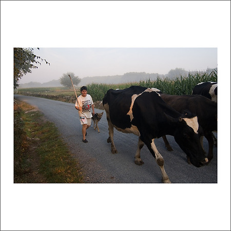 camino de santiago -120-