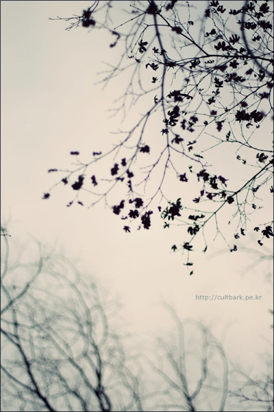 Memories