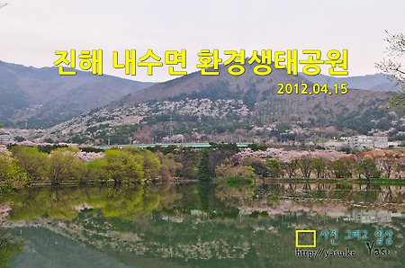 진해 내수면 환경생태공원의 아침~(진해벚꽃명소)