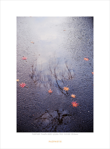 [X100]메마르다