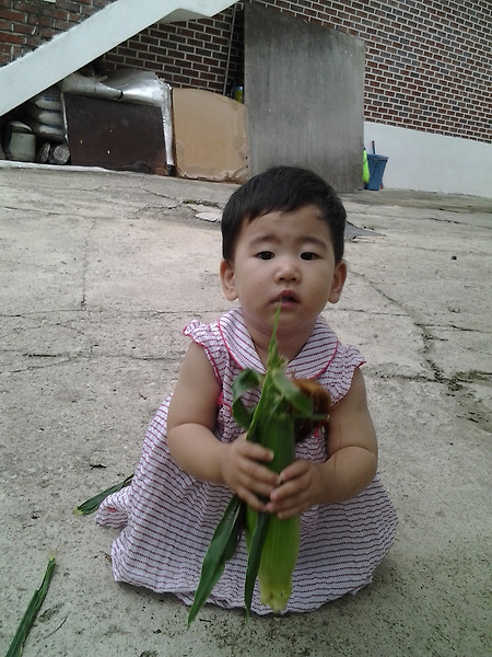 신기한 옥수수 in 가평(18개월)