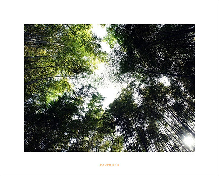 [E-5]상념