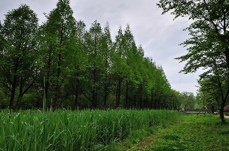 오산 물향기 수목원 우중 출사~