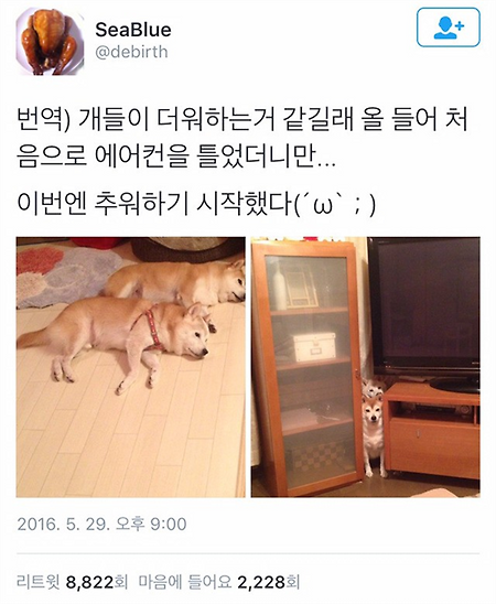 에어컨 틀었더니