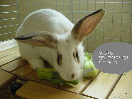 5/22 날이 더워서 그런가?