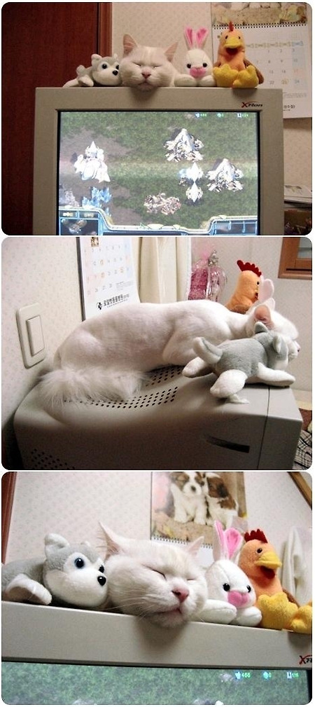 간만에 ... 피식할만한 사진 몇장...