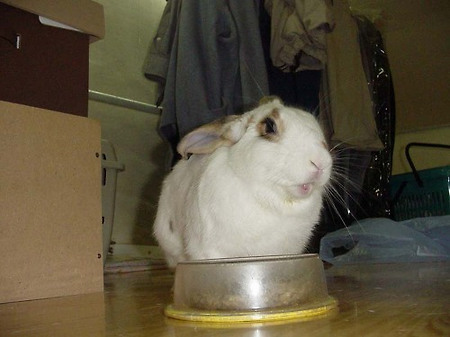 오물오물