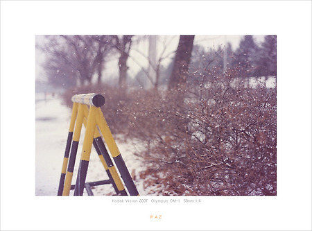 [Kodak Vision 200T][OM-1] Snow