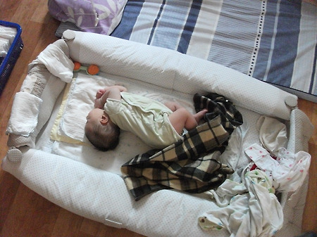 강아지처럼 자기