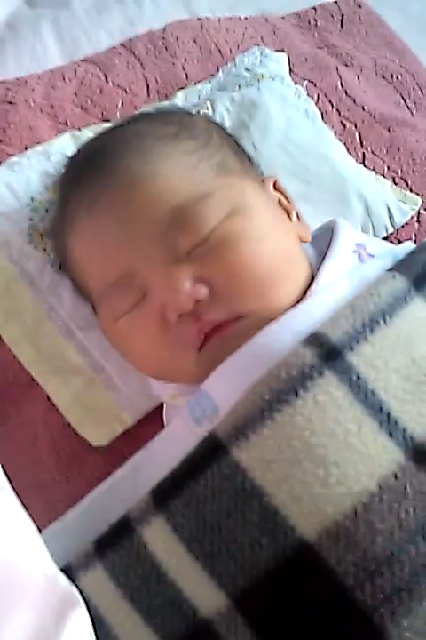 생후 1주 동영상, 눈도 못뜨고... ^^