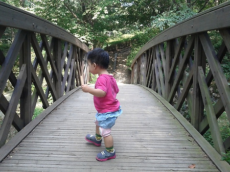 용마산 중턱, 다리에서