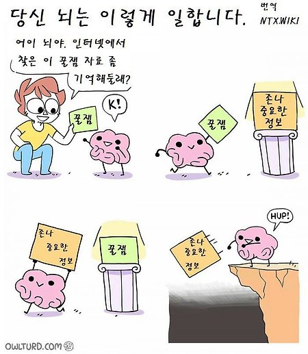 당신의 뇌는 이렇게 일합니다.jpg