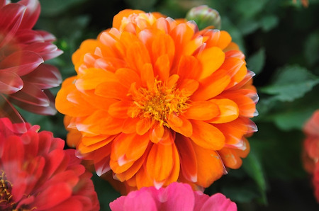 용인 한택식물원 출사 다녀왔음~