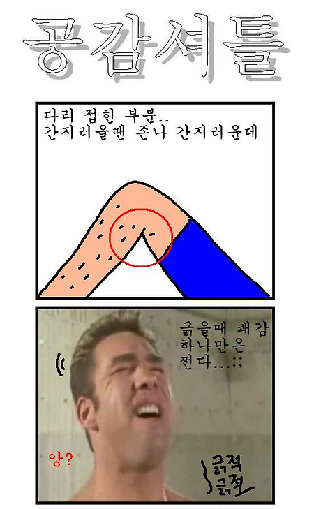 보는 내가 다 시원하다