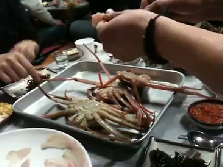 [2011년 울진] 잊을 수 없다. 홑게