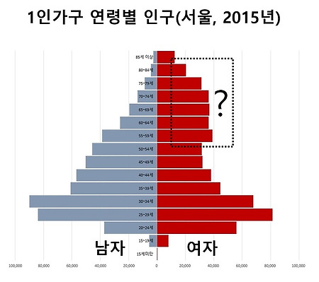 서울 1인가구 분포 : 각자 다른 사정의 사람들