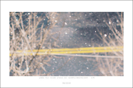 지금 창 밖에 눈이