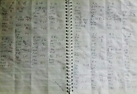 도연이 신생아 때, 체크노트