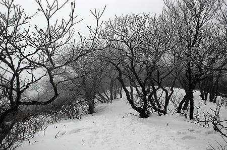 얼어 죽을뻔한 오대산 산행사진...