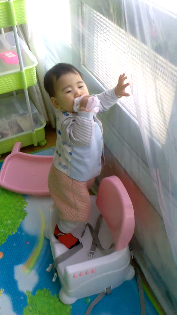 걸음마 연습 2 (생후 11개월)