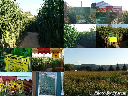 [Rose City Story VII]Maze Farm & Oregon Zoo