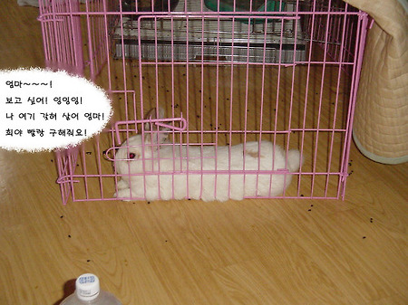 유배지를 떠난 희야