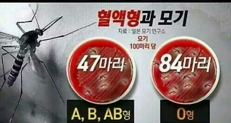 모기가 좋아하는 혈액형