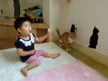 고양이까페 방문~