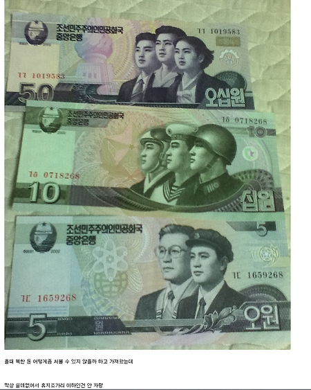 북한인 인증에 대한 의심